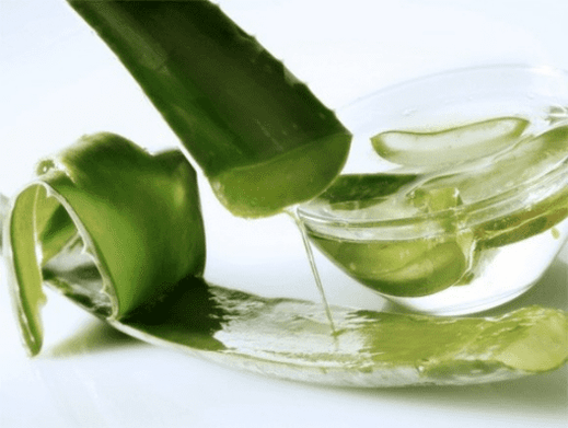 Aloe