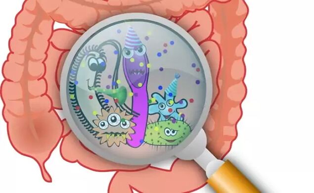 Parassiti nell'intestino