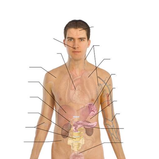 segni della presenza di parassiti in vari organi